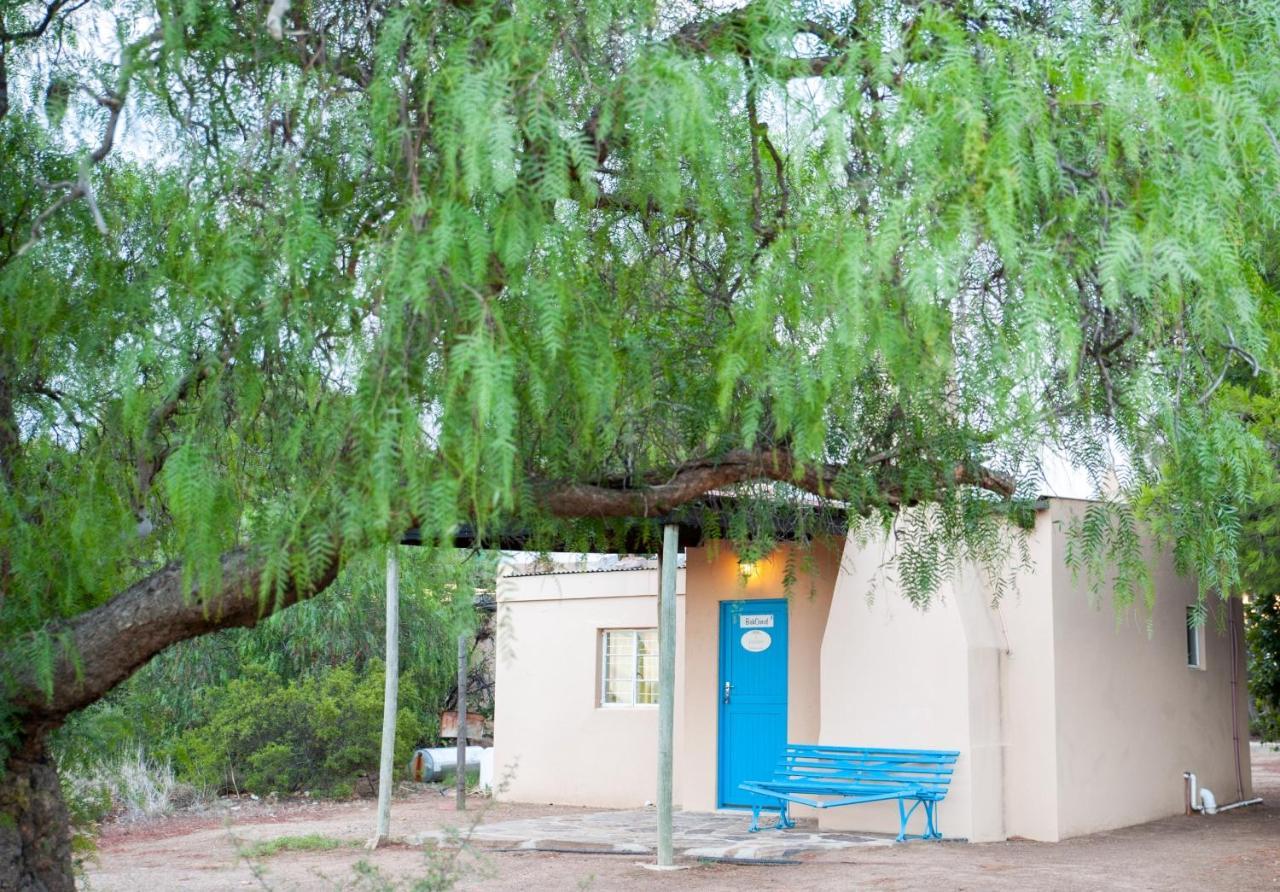 Willemsrivier Trekpad Guest Houses Nieuwoudtville Exterior foto