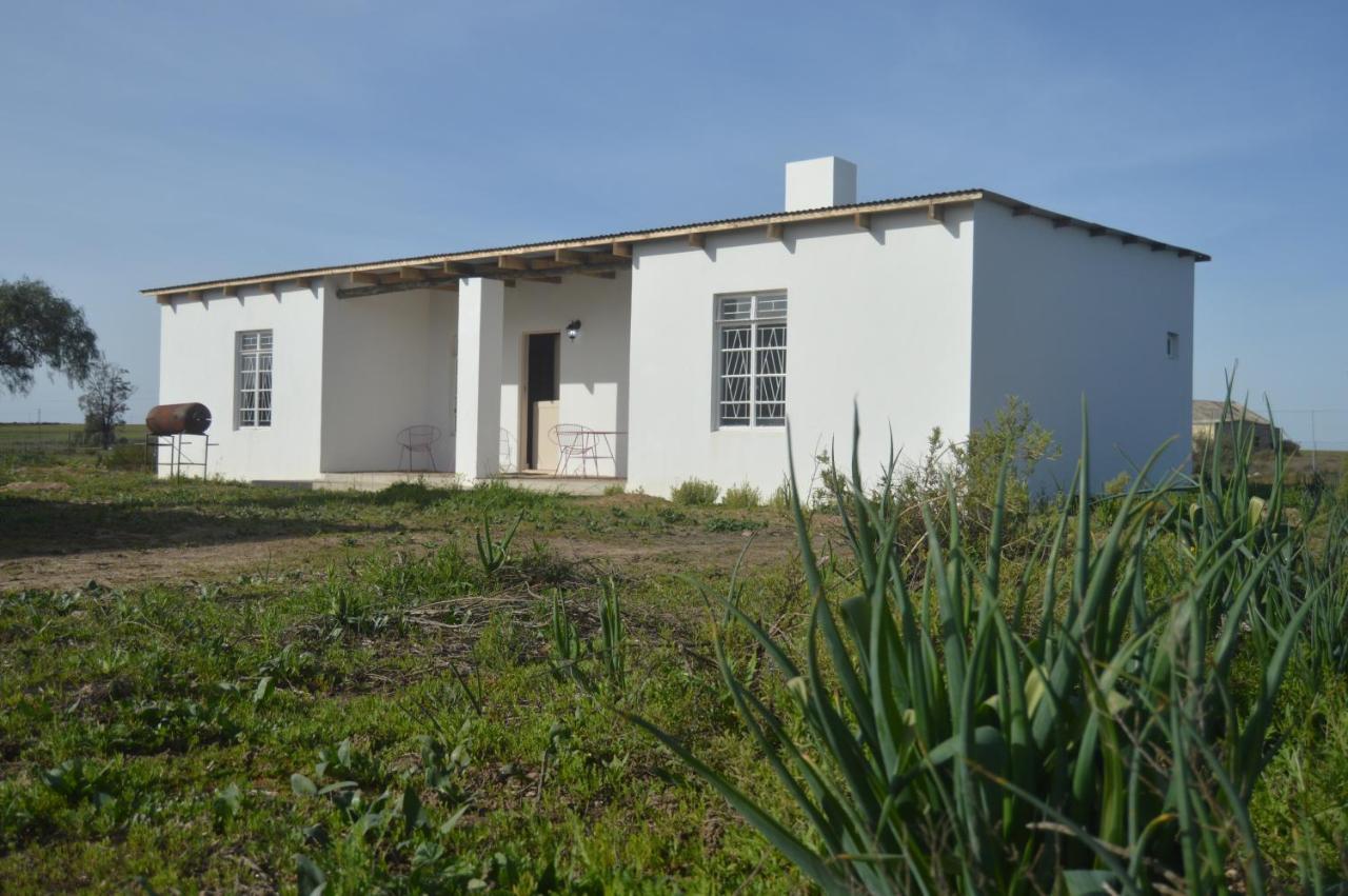 Willemsrivier Trekpad Guest Houses Nieuwoudtville Exterior foto