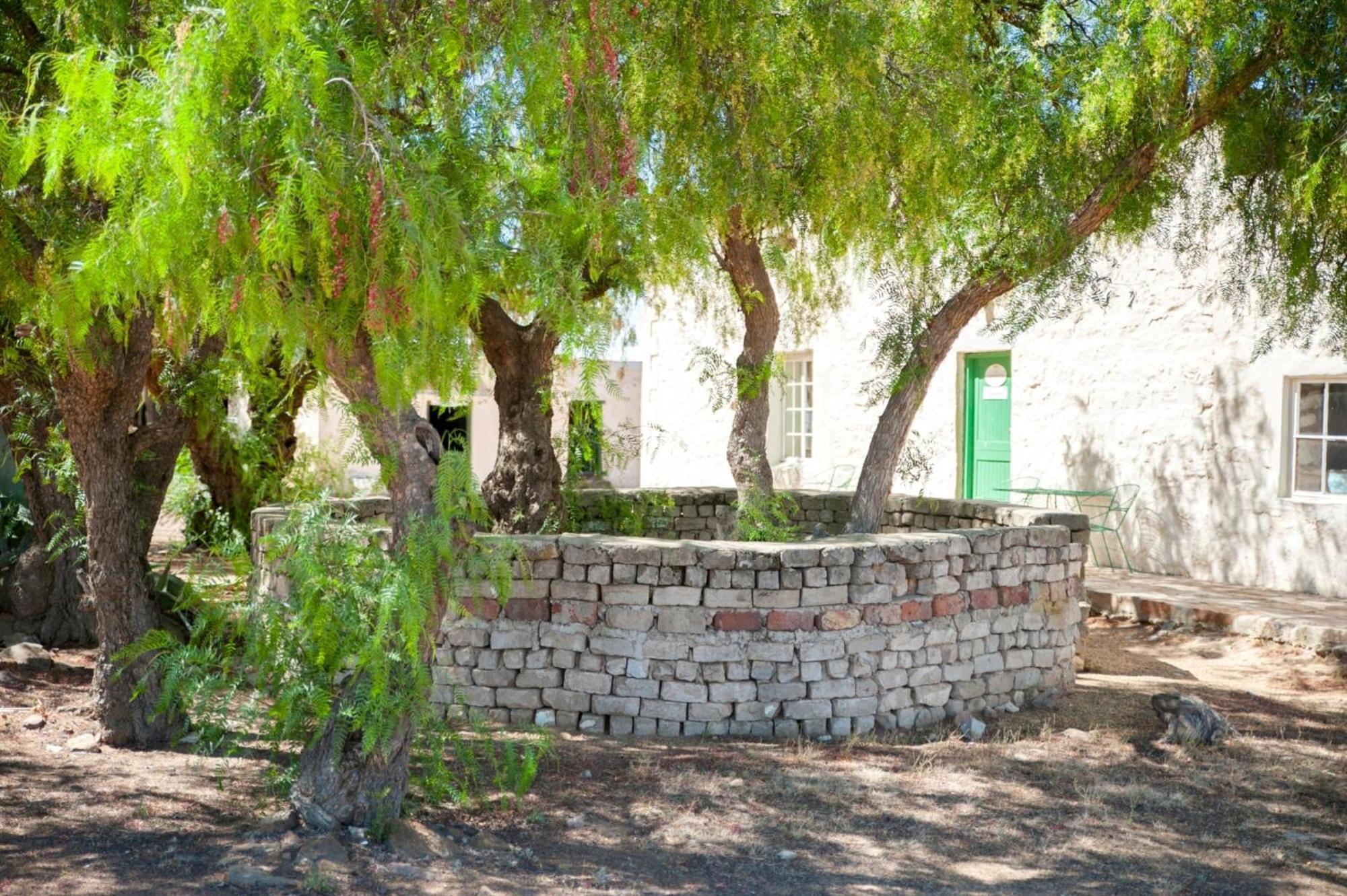 Willemsrivier Trekpad Guest Houses Nieuwoudtville Exterior foto